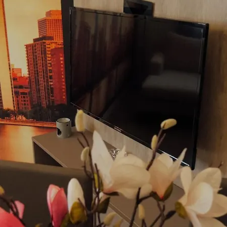 Newly Renovated Daire *