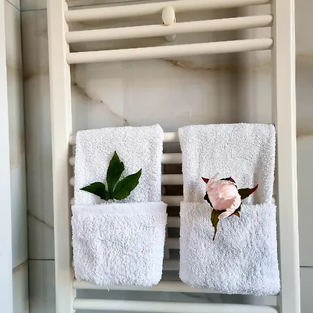 Newly Renovated * Tiran